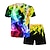 cheap Boy&#039;s 3D Sets-Boys 3D Graphic T-shirt &amp; Shorts Clothing Set Short Sleeve Summer Spring Sports Fashion Cool Polyester Kids 3-13 Years Outdoor Street Sports Regular Fit