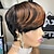 preiswerte Kappenlose Echthaarperücken-Brasilianisches Haar Pixie Cut Perücken Echthaar kurze Perücke mit Farbe keine Spitze volle maschinell hergestellte Perücken Brasilianisches Haar remy Echthaarperücken