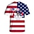 preiswerte Anime-T-Shirts-Tag der Unabhängigkeit 4. Juli USA Flagge T-Shirt-Ärmel Anime Zeichentrick Anime 3D Harajuku Grafik Kawaii Für Paar Herren Damen Erwachsene Zurück zur Schule 3D-Druck