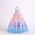 cheap Girls&#039; Dresses-Kids Little Dress Girls&#039; Flower Party Tulle Dress Mesh White Purple Pink Maxi Sleeveless Princess Cute Dresses 3-12 Years