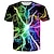 cheap Boy&#039;s 3D T-shirts-Kids Boys T shirt Short Sleeve 3D Print Optical Illusion Crewneck Rainbow Children Tops Spring Summer Active Fashion Daily Daily Outdoor Regular Fit 3-12 Years