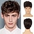 billiga Herrperuker-brun kort peruk för män lockigt fluffigt naturligt syntetiskt hår lugg cosplay hel peruk för män