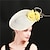 preiswerte Historische &amp; Vintage-Kostüme-Retro Vintage 1950s 1920s Kopfbedeckung Partykostüm Fascinator-Hut Queen Elizabeth Audrey Hepburn Damen Maskerade Party / Abend Kopfbedeckung