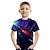 tanie chłopięce koszulki 3D-Dzieci Dla chłopców Podkoszulek T-shirt Krótki rękaw Druk 3D Druk 3D Graficzny Samochód Jasny Czarny Niebieski Tęczowy Dzieci Najfatalniejszy Lato Aktywny Moda Nowoczesne 3-12 lat