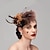 cheap Fascinators-Feather / Net Fascinators / Headwear with Floral 1PC Fall Wedding / Special Occasion / Ladies Day Headpiece