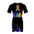 billige Cosplay til hverdagen, hettegensere og t-skjorter-Homofil stolthet Regnbueflagget LHBT LHBTQ Kjoler Regnbue 3D Graphic Til Dame Voksne Karneval 3D-utskrift Pride-parade Pride måned