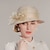 Χαμηλού Κόστους Καπέλα για Πάρτι-Κομψό Γυναικείο Καπέλα με Λουλούδι / Καθαρό Χρώμα / Πλευρά δαντέλας 1 τεμ Causal / Πάρτι Τσαγιού / Κύπελλο Μελβούρνης Ακουστικό