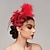 abordables Tocados-Plumas/tocados de red/sombreros con flores 1pc boda de otoño/ocasión especial/tocado de día de damas