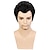abordables Perruques de personnages de films-Perruques de cosplay Noir Ondulé Cheveux synthétiques Mi-long Perruques Homme Perruques Pour la fête