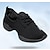 cheap Dance Sneakers-Women&#039;s Dance Sneakers Line Dance Professional HipHop Cheerleading Flat Split Sole Practice Mesh Flat Heel Lace-up Black