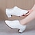 cheap Latin Shoes-Women&#039;s Latin Shoes Practice Trainning Dance Shoes Stage Performance Outdoor Heel Thick Heel Lace-up White Black