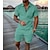 cheap Men&#039;s T shirt and Shorts Set-Men&#039;s Casual Color Contrast Polo Zipper Lapel Shirt Short-sleeved Suit