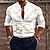 baratos camisas gráficas masculinas-Homens Camisa Social Camisa Gráfica Rachadura Colarinho Chinês Bege Impressão 3D Ao ar livre Rua Manga Longa Imprimir Botão para baixo Roupa Moda Designer Casual Respirável
