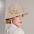 billige Partyhatter-Elegant dame Hatter med Blomst / Ren Farge / Blondeside 1 stk Avslappet / Te Fest / Melbourne Cup Hodeplagg
