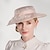 voordelige Feesthoeden-Elegant Zoet hoed met Appliqués / Bloem / Pure Kleur 1 stuk Feest / Uitgaan / Teaparty / Melbourne Cup Helm