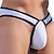 cheap Men&#039;s Exotic Underwear-Men&#039;s 1pack Basic Panties Briefs Basic Cotton Antibacterial Leak Proof Pure Color Mid Waist Black White
