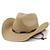 Недорогие Мужские головные уборы-Муж. Универсальные Соломенная шляпа Шляпа от солнца панамская шляпа Шляпа Fedora Trilby Черный Белый Мода На открытом воздухе