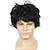 cheap Costume Wigs-Funny mens Wig Mens Short Curly Brown Wig Anime Cosplay Wigs Cosplay Hair Wig