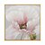 economico Quadri fiori/botanica-pittura a olio dipinta a mano a mano wall art fiore rosa rosebush decorazione della casa arredamento tela arrotolata senza cornice non tesa