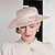voordelige Feesthoeden-Elegant Zoet hoed met Appliqués / Bloem / Pure Kleur 1 stuk Feest / Uitgaan / Teaparty / Melbourne Cup Helm