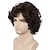 cheap Costume Wigs-Funny mens Wig Mens Short Curly Brown Wig Anime Cosplay Wigs Cosplay Hair Wig