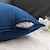 economico Tendenze cuscini-più cool cuscini decorativi cuscini di lancio copertura del cuscino di tiro di velluto agriturismo federa per camera da letto soggiorno cuscino rosa blu verde salvia viola giallo