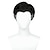 cheap Costume Wigs-Short Black Mix White Wig for Men Boys Dr. S Wig Superhero Strange Cosplay Wig  Wig Net Cap for Daily Halloween Costume Party