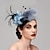 cheap Fascinators-Feather / Net Fascinators / Headwear with Floral 1PC Fall Wedding / Special Occasion / Ladies Day Headpiece