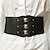 cheap Women&#039;s Belt-Women&#039;s Wide Belt Corset Belt Nylon Steel Buckle Geometric Formal Vintage Retro Party Daily White Black Red Brown