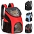 cheap Dog Travel Essentials-Portable Foldable Mesh Pet Carrier Dog Backpack Breathable Bag Dog Cat Large Capacity Outdoor Travel Carrier Double Shoulder Bag