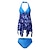 cheap Tankinis-Women&#039;s Swimwear Tankini 2 Piece Plus Size Swimsuit Push Up Open Back for Big Busts Print Floral Print Blue Halter V Wire Bathing Suits New Casual Vacation / Modern / Padded Bras
