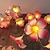 baratos Mangueiras de LED-3m 20 leds luzes de corda de flores decoração de guirlanda de casamento bateria ou luzes de fada alimentadas por usb quarto natal casamento festa natalícia dia dos namorados lâmpada de decoração de