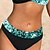 cheap Bikini Sets-Women&#039;s Swimwear Bikini 2 Piece Normal Swimsuit Color Block High Waisted Black Strap Padded Bathing Suits Vacation Sexy Sports