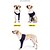 economico Abbigliamento e Accessori per Cani-nuovo prodotto transfrontaliero gamba del cane recupero postoperatorio cane manica anti-leccatura con forniture per la riabilitazione di lesioni alle gambe del cane manica anti-leccatura