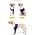 cheap Dog Clothes-Dog Surgery Recovery Sleeve Pet Wounds Prevent Licking Brace Sleeve Supportive Dog Canine Front Leg Joint Wrap Protecter for Pet Postoperative Recovery and Sprains Helps Arthritis