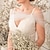 cheap Bridal Wraps-Women&#039;s Wrap Bolero Shrug Bridal&#039;s Wraps Voiles &amp; Sheers Bridal Sleeveless Tulle Wedding Wraps With Bow(s) For Wedding All Seasons