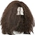 cheap Costume Wigs-Hagrid Wig Movie Cosplay Brown Long Curly Hair Beard Accessories