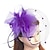 abordables Chapeaux et coiffes-plumes / fascinateurs en filet chapeau derby kentucky / fleurs / chapeaux avec plumes / fourrure 1pc mariage / occasion spéciale / casque de jour pour dames