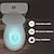 billige Dekor- og nattlys-toalett nattlys pir bevegelsessensor toalettlys led nattlampe på toalettet 16/8 farger toalettskålbelysning for baderom