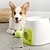 preiswerte Hundespielsachen-interaktiver automatischer Ballwerfer für Hunde, Hundetennisball-Wurfmaschine für kleine, mittelgroße Größen