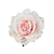 ieftine Accesorii Stilizare Păr-flori accesorii pentru păr vacanță pe litoral dantelă de păr ac de dans performanță trandafir corsaj