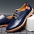 voordelige Heren Oxfordschoenen-Voor heren Oxfords Derby-schoenen Comfortabele schoenen Klassiek Casual Buiten Dagelijks PU Veters Zwart blauw Bruin Kleurenblok Zomer Lente