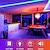 cheap LED Strip Lights-TV LED Backlight Strip Light Waterproof USB RGB 5M 16.4ft with APP Bluetooth, Pool Light Strip16 Million Color Changing SMD 5050 for TV PC Monitor Gaming Room 5V