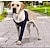 Χαμηλού Κόστους Ρούχα για σκύλους-διασυνοριακό νέο προϊόν πόδι σκύλου μετεγχειρητική ανάρρωση σκύλος με μανίκια κατά του γλείψιμου με προμήθειες αποκατάστασης τραυματισμών ποδιών σκύλου
