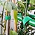 cheap Garden &amp; Urban Farming-3 Rolls Plant Bandage Velcro Tie Adjustable Plant Support Reusable Fastener Tape For Home Garden Accessories
