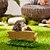 levne zahradní sochy a sochy-kreativní a roztomilá malá zvířata zahradnické ozdoby čtení ježek zahradní terénní úpravy dekorativní pryskyřice řemesla 1ks