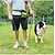 cheap Dog Collars, Harnesses &amp; Leashes-Pet&#039;s Company Slip Lead Dog Leash,Slip Lead Dog Leash, Reflective Mountain Climbing Rope Leash, Dog Training Leash