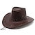 olcso Történelmi és vintage jelmezek-18. század 19. század Texas állam Cowboy kalap West Cowboy Amerikai Férfi Női Vakáció Alkalmi / Napi Kalap