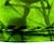 abordables Sweats à capuche et sweat-shirts 3d pour garçon-Garçon 3D Animal Sweat à capuche manche longue 3D effet Automne Hiver Actif Sportif Mode Polyester Enfants 3-13 ans Extérieur du quotidien Intérieur Standard