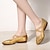 cheap Ballroom Shoes &amp; Modern Dance Shoes-Women&#039;s Ballet Shoes Ballroom Shoes Modern Shoes Professional Outdoor Waltz Sparkling Shoes Party Contemporary Dance Flat Heel Elastic Band Silver Gold Red